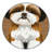 Washable Shih Tzu Dogs Area Rug-140121769