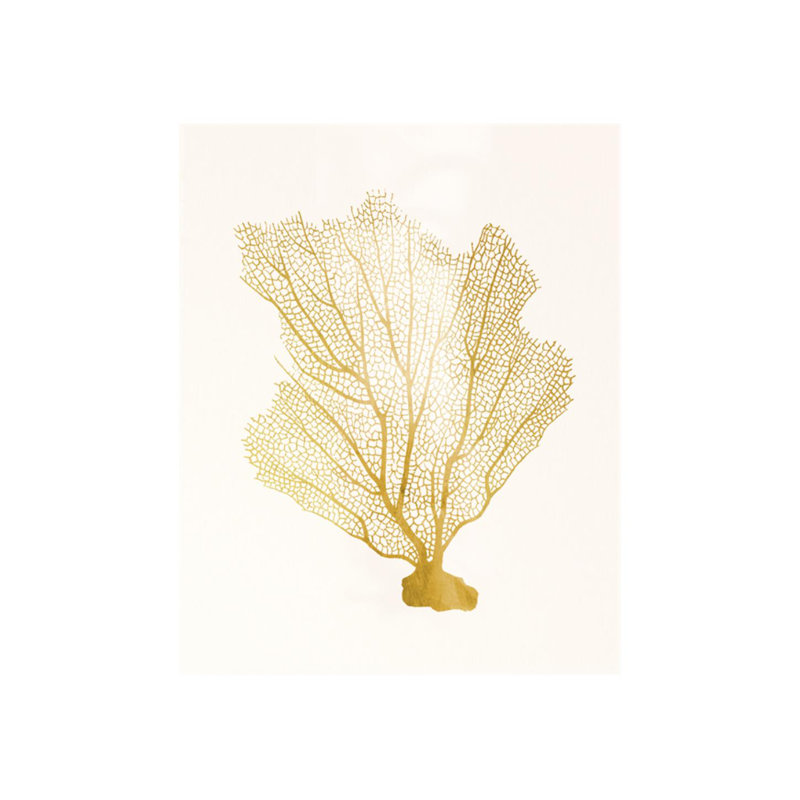 «Blush Coral III» par Sofia Fox - impression, H 30 po x l 24 po, Couche de verre