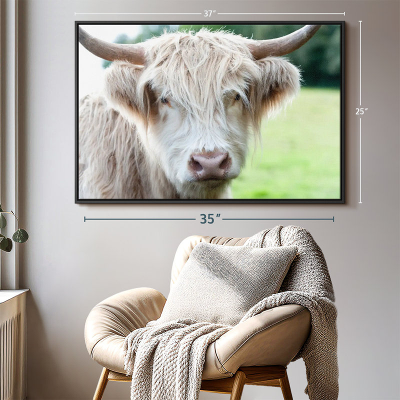" Glasgow Highland Cow ", 37" H x 25" W