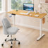 Ergonomic Home Office Desk And Chair Set, Standing Desk And Chair Combo, Adjustable