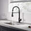 Bolden CASAINC 1.8 GPM Britt Commercial Style Pull Down Single Handle Kitchen Faucet-93965544