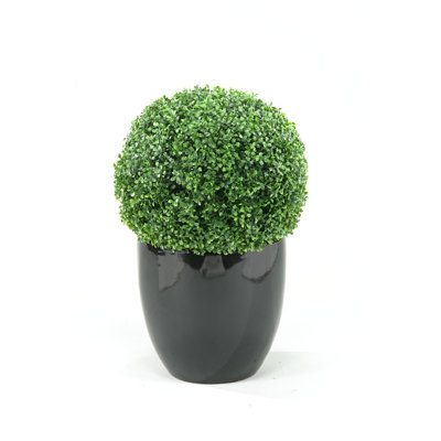 Boule de buis d'intérieur 30 po d'intérieur dans une jardinière brillante