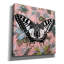 «Butterfly papier peint carré» par Dean Russo, art mural sur toile-1911147516