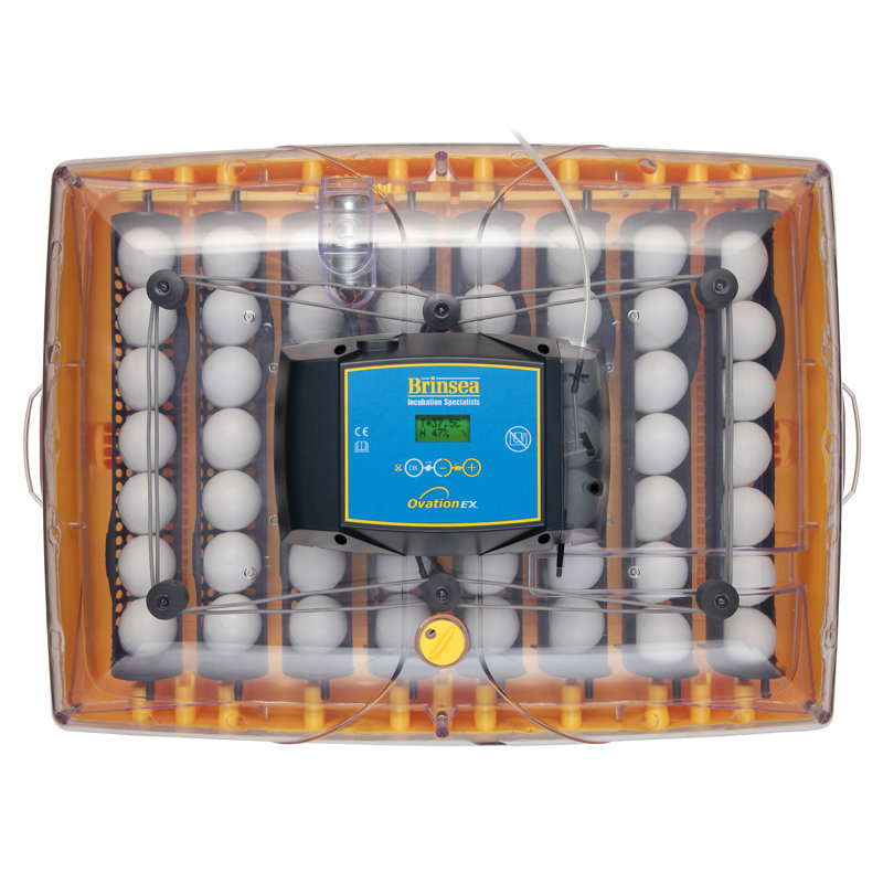Incubateur à œufs de poule automatique Ovation 56 EX