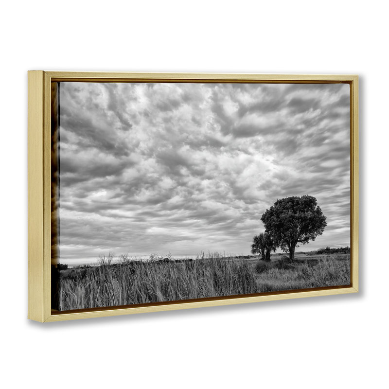 Cadre flottant solitaire arbre sous les nuages, design par Jon Evan, H 21 po x l 31 po, Cadre flottant métallique doré