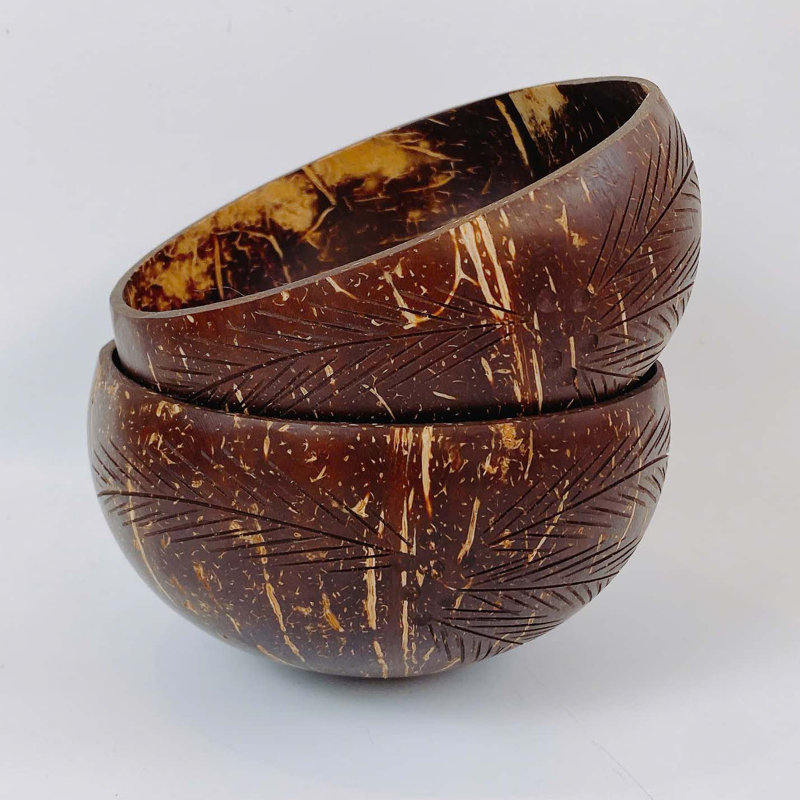 Ensemble de 2 bols en forme de feuille de palmier avec coquille de noix de coco - CSB003B