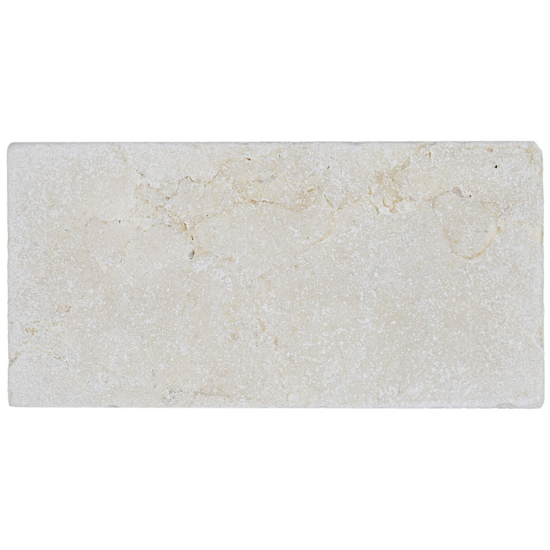 Marble Collection 6" x 3" Natural Stone Field Tile in Crema Marfil Classico
