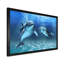 Deux dauphins bleus - Impression sur toile-67463975-67463997