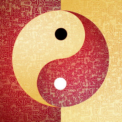 Ying-Yang Symbol by Exsodus - Wrapped Canvas Print