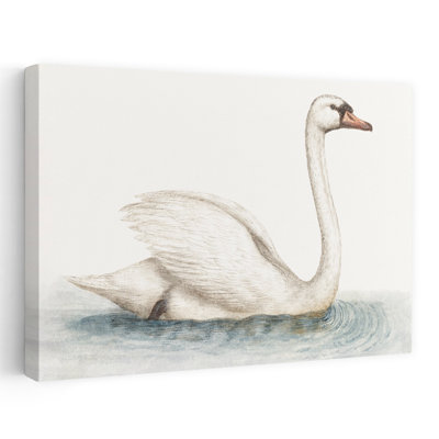 Swimming Swan Contemporary Bird Art