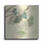 Luxe métal Art «Gingko Leaves I» par Chris Paschke, «Gingko Leaves I» par Chris Paschke
