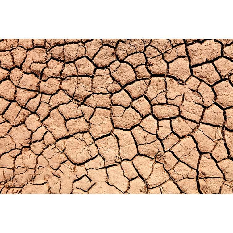 Parched Soil During The Drought by Luchschen - Wrapped Canvas Print
