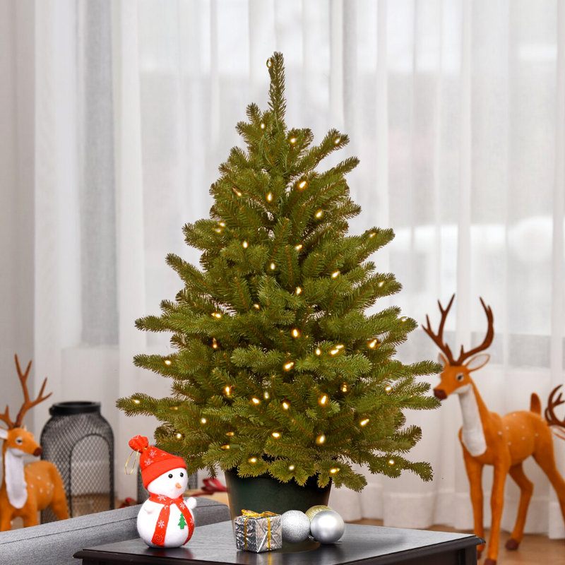 The Holiday Aisle® 3ft. Hampton Spruce Tree with Clear Lights