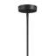 Carlina 6-Light Chandelier