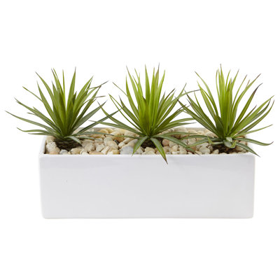 Plante grasse artificielle 4,25 "dans un panier