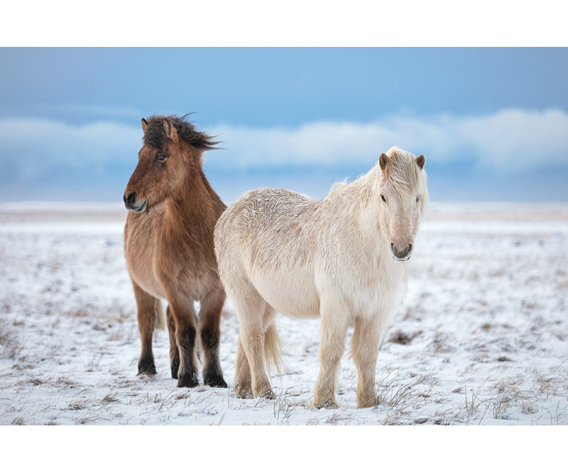Wrapped Canvas Print, 81.28 cm H x 121.92 cm W