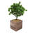 Faux Bonsai Plant and Tree