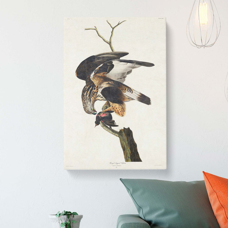 Rough-Legged Falcon by John Audubon - Wrapped Canvas Print, 60cm H x 40cm W x 3cm D