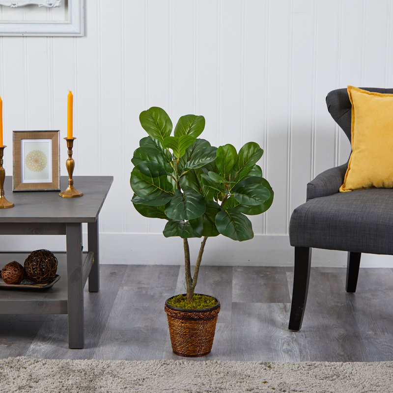 33'' Faux Fiddle Leaf Fig Tree in Wood Basket