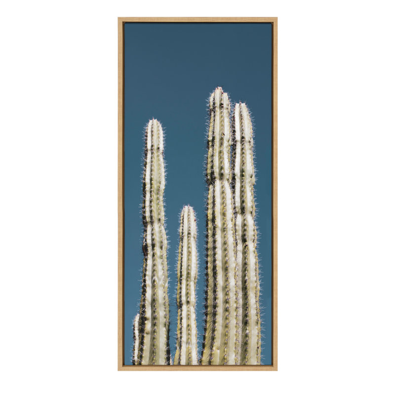 «Cactus Sky» par Stephanie Klatt, reproduction d'art sur toile encadrée