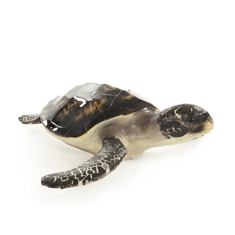 Figurine tortue de mer Pelham, H 6 po x l 14,5 po x P 17,25 po