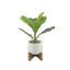 Figuier artificiel 8 po en pot
