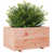 Natural Douglas Fir Wood is unavailable