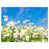 Métal
