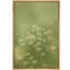 Doux vert marguerite sauvage prairie nature botanique murale, reproduction encadrée-124932504-124932505
