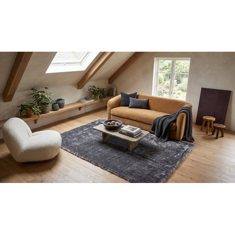 Tapis gris à poils longs Avants