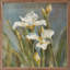 «Spring Iris II» par Danhui Nai-2065800868