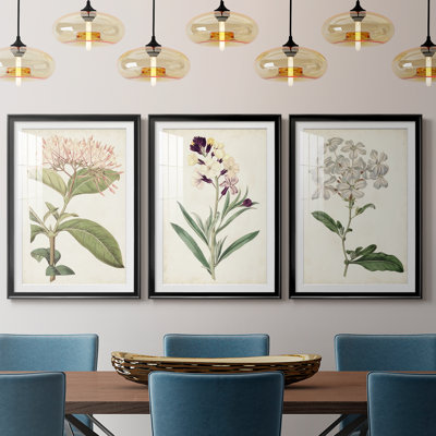 Antique Botanical Collection VI  -Custom Framed  Premium Print W Matt - 3 Pieces