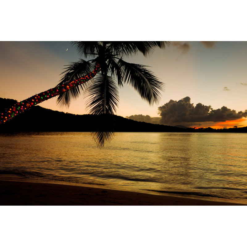 Christmas Lights On A Palm Tree - Wrapped Canvas Print, 20cm H x 30cm W x 3.8cm D
