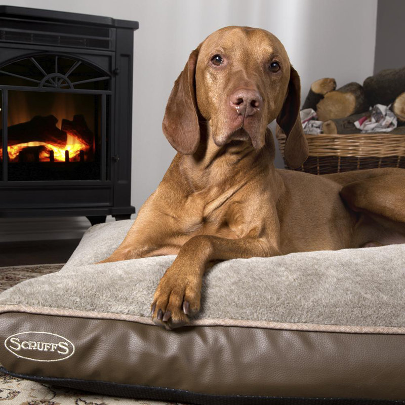 Chateau Orthopedic Polyester Pet Bed, 10cm H x 120cm W x 75cm D, Latte