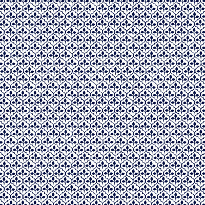 Jr Sadhil Blue Lnn Sample