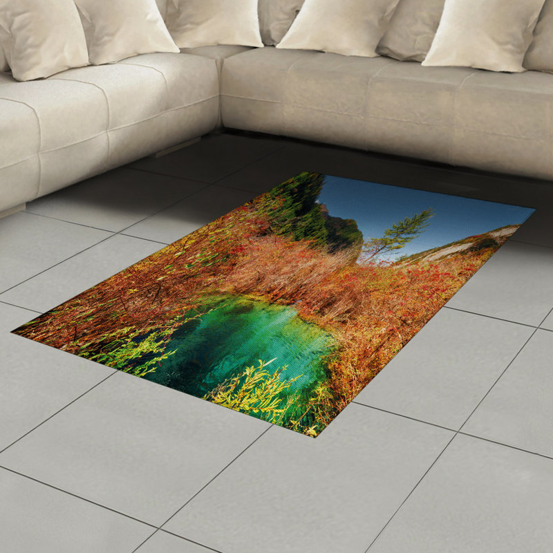 Nature High Density Long Fiber Poly Threads Decorative Area Rug Carpet, Rectangle 4' x 5'8"