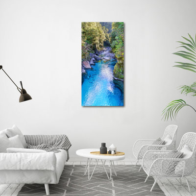 Dahlonega River In The Forest - Print