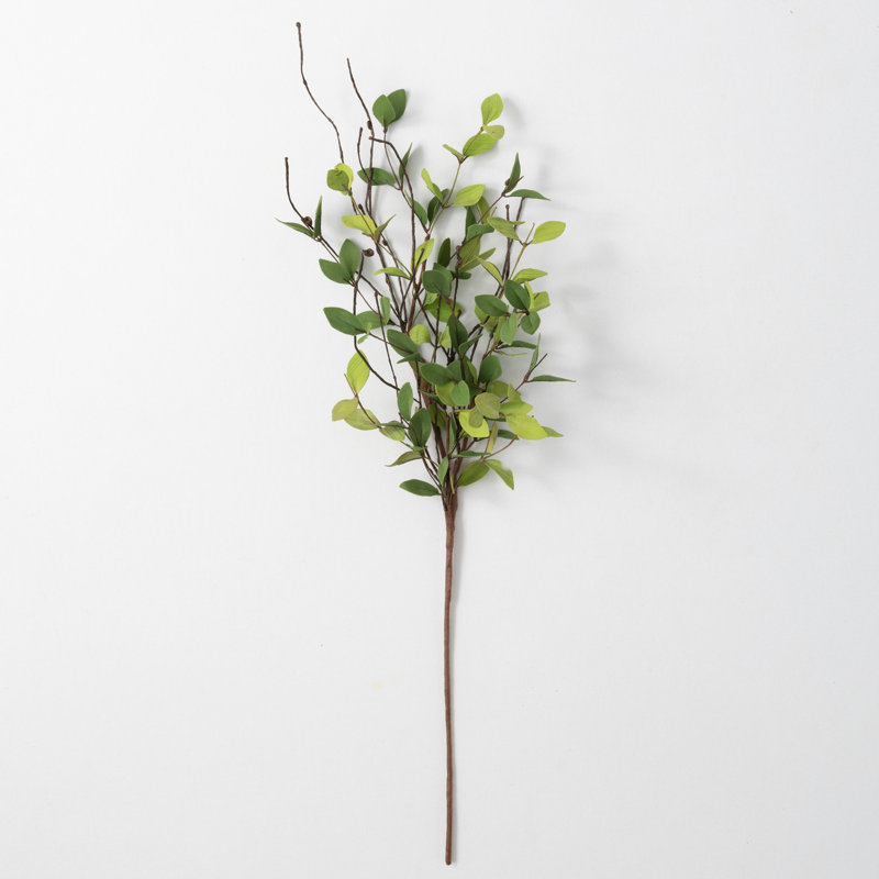 Mcneely Ruscus Leafy Twig Arrangement