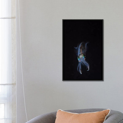 «A Reef Squid Hover Above the Sandy Bottom of the Ocean I» par Brook Peterson - reproduction d'art sur toile tendue sur châssis