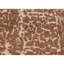 Himalayan One-of-a-Kind 6'1" X 8'10" Area Rug
