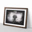 A Dandelion Flower - Framed Print-56876317-56876319