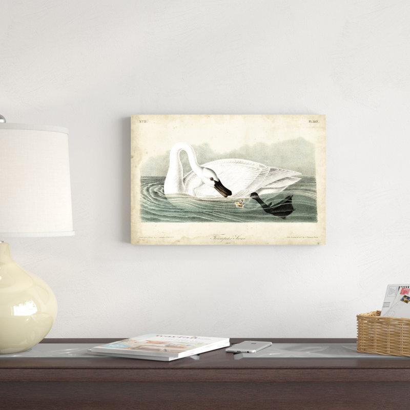 Cygne trompette I, H 12 po x l 18 po x P 1,25 po