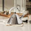 Whistling Kettle-843681955-910023073
