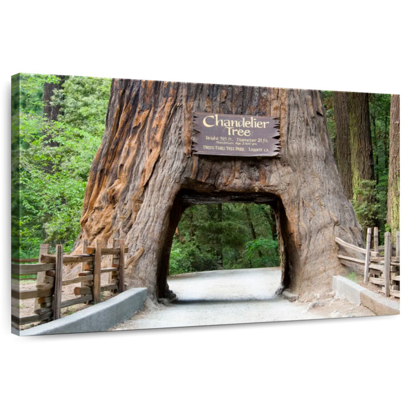 Harnek Chandelier Tree Tunnel, 32" H x 48" W
