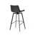 Charcoal Black Seat/Matte Black Frame
