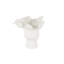 Vase Aceves-1366263124