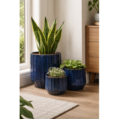 King Plntr Set Of 3 A,B,C