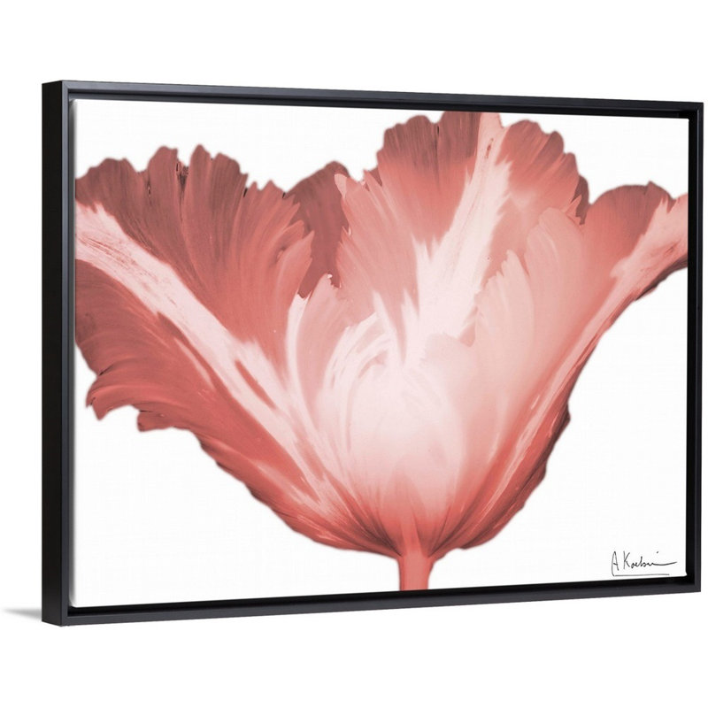 "Coral Blossom 1" par Albert Koetsier, reproduction d’art sur toile, Toile avec cadre noir, H 14 po x l 18 po x P 1,75 po