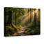 "Forest Light Trail", impression sur toile tendue, "Woodland Path" sur toile tendue-413873777