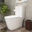 Toilette allongée 1 pièce à double chasse 1,1 / 1,6 GPF avec siège blanc incluse
